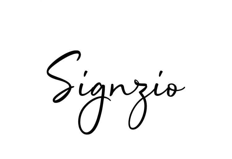 Signzio logo